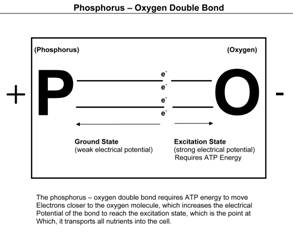 Phosphorus Oxygen Double Bond Diagram