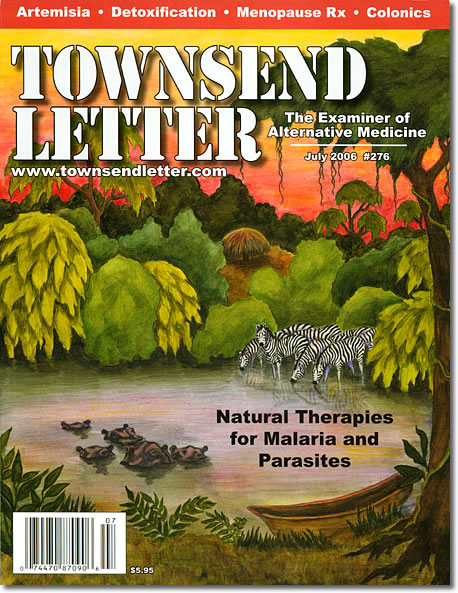 Our July 2006 cover