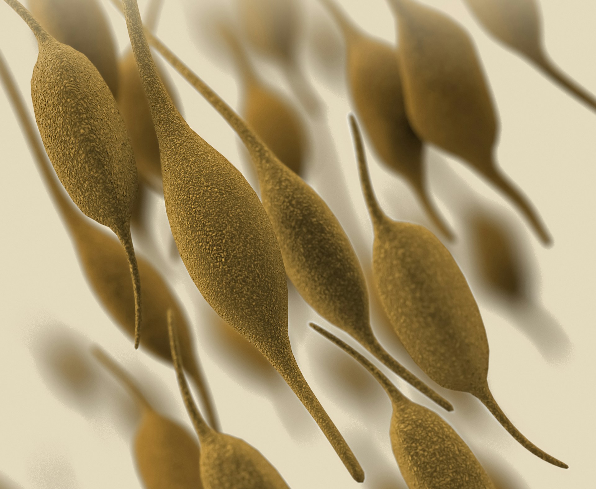 Mycoplasmas That Make Most of Us Sick and Tired for Most of the Time – Examining How and Why Treatments Work