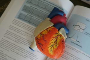 plastic heart model setting on top of a textbook.