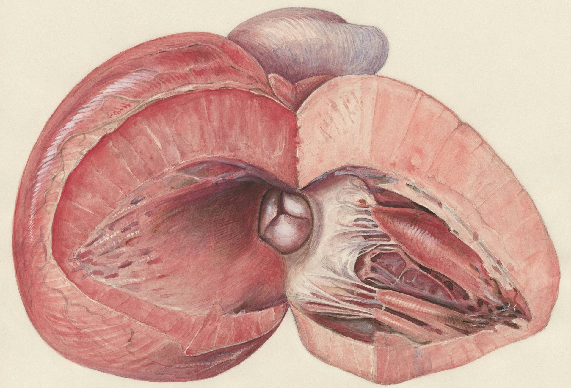 The Whole-Person Approach to Prostatitis: New Insights, Better Outcomes